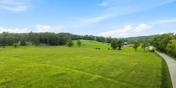 Image 4 Image 4