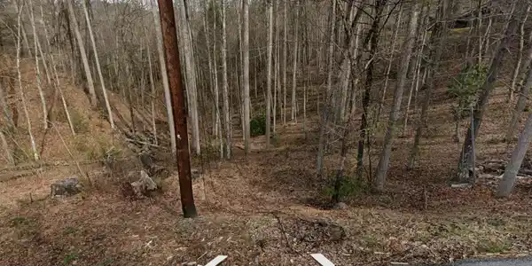 Image 4 Image 4