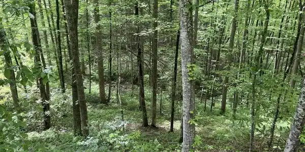 Image 3 Image 3