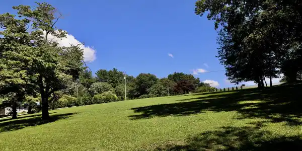 Image 4 Image 4