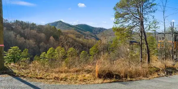 0 Sugar Maple Loop Lot #1 Rd