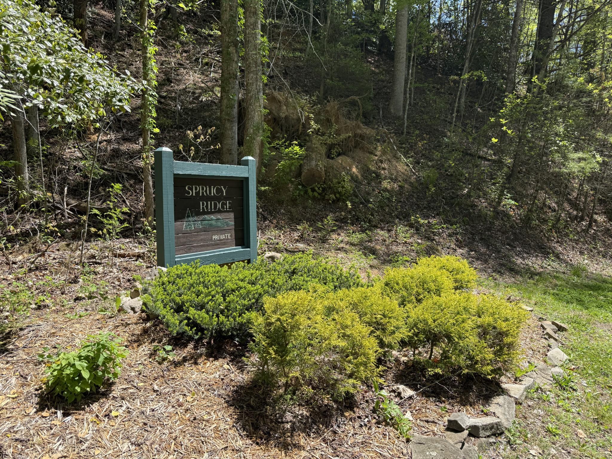 Image 2 Image 2