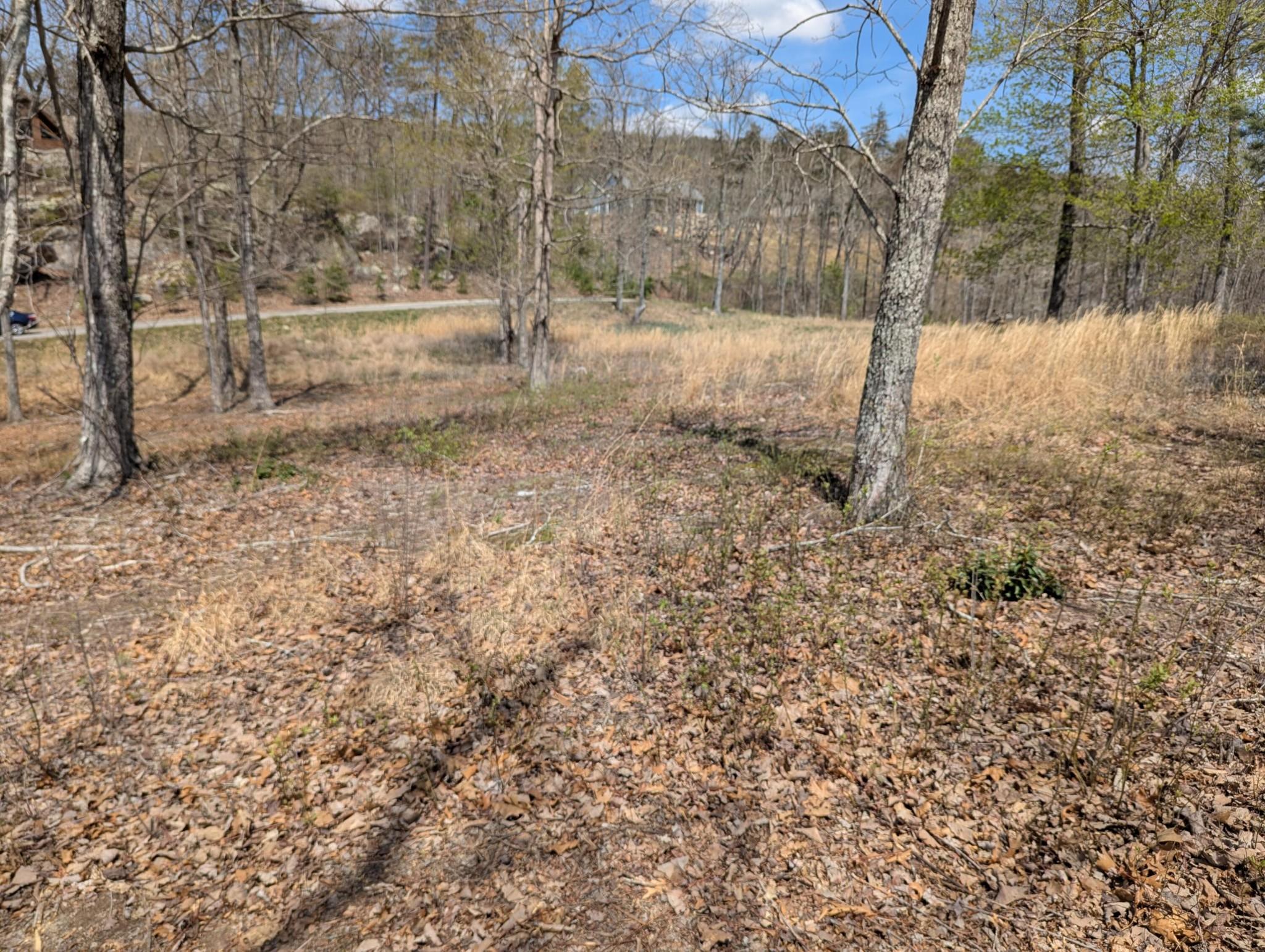 Image 3 Image 3
