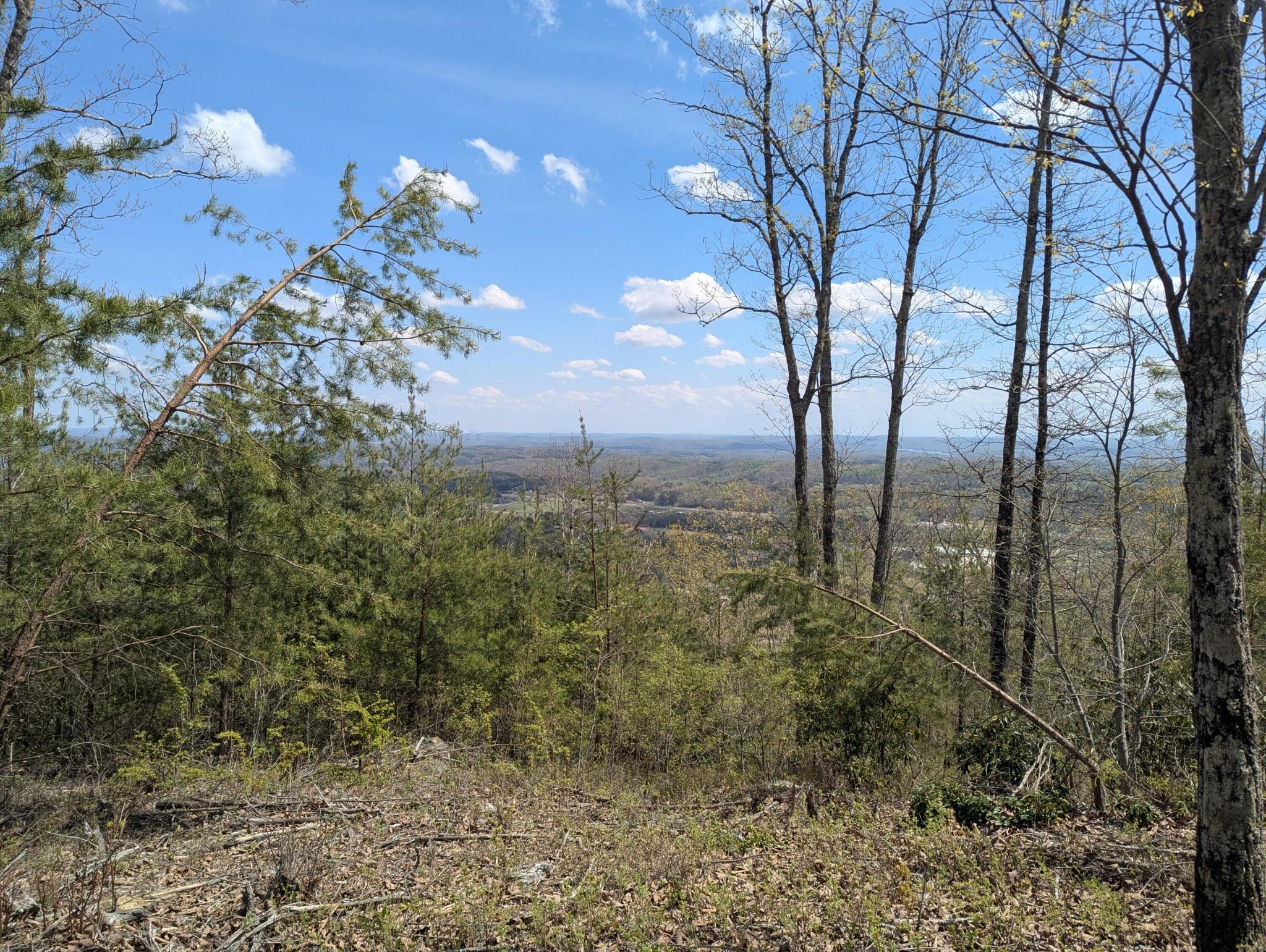 Image 3 Image 3