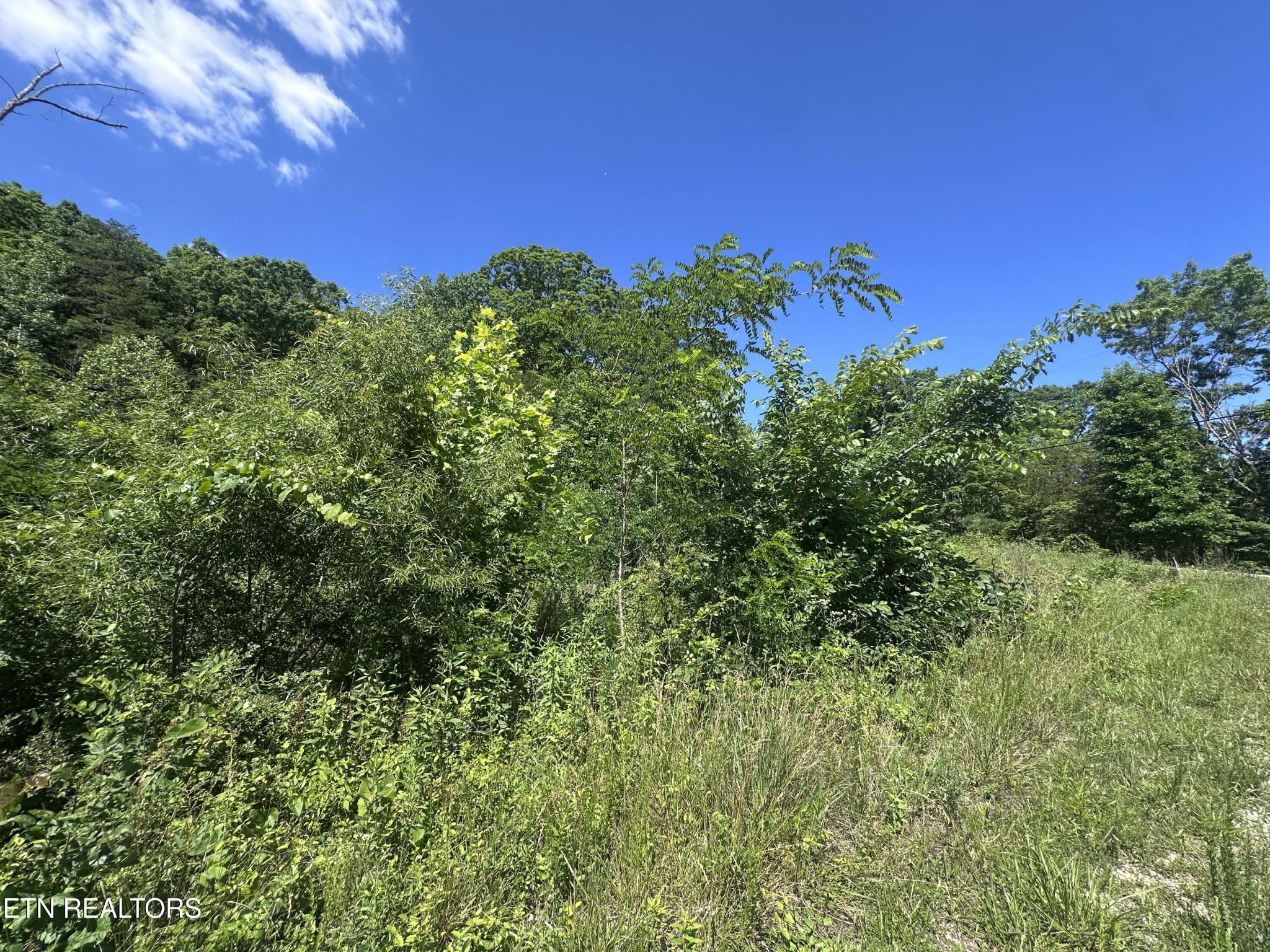 Image 3 Image 3