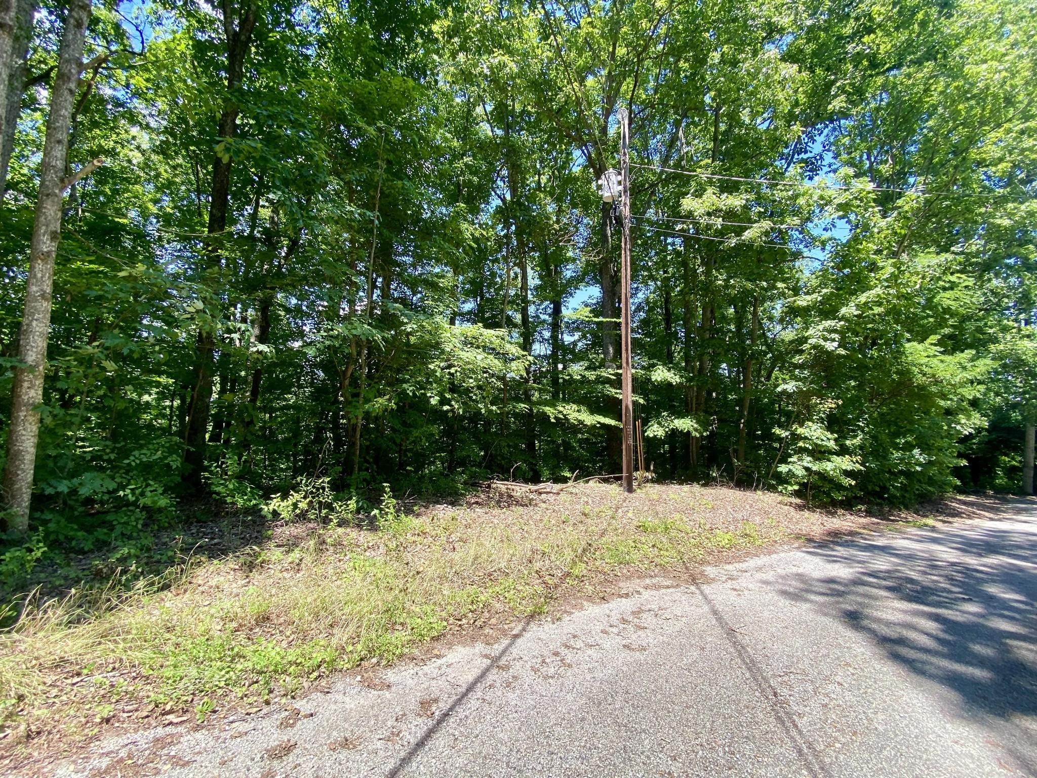 Image 1 Image 1