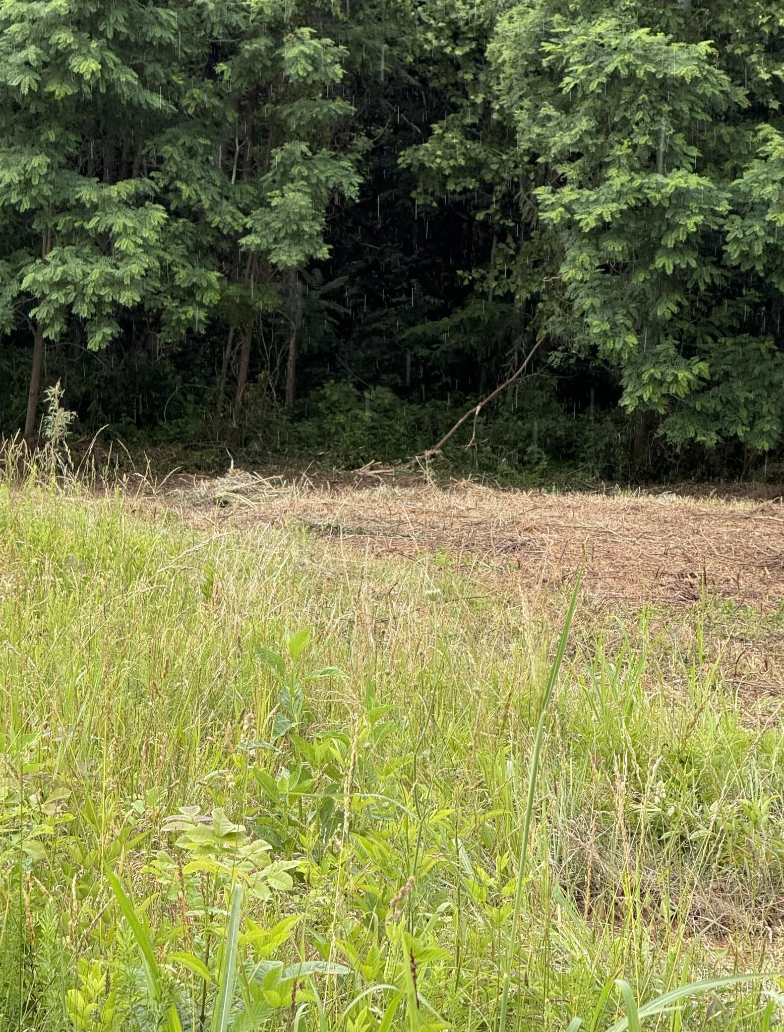 Image 4 Image 4