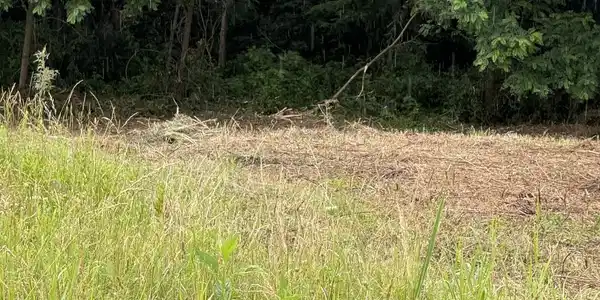 Image 4 Image 4
