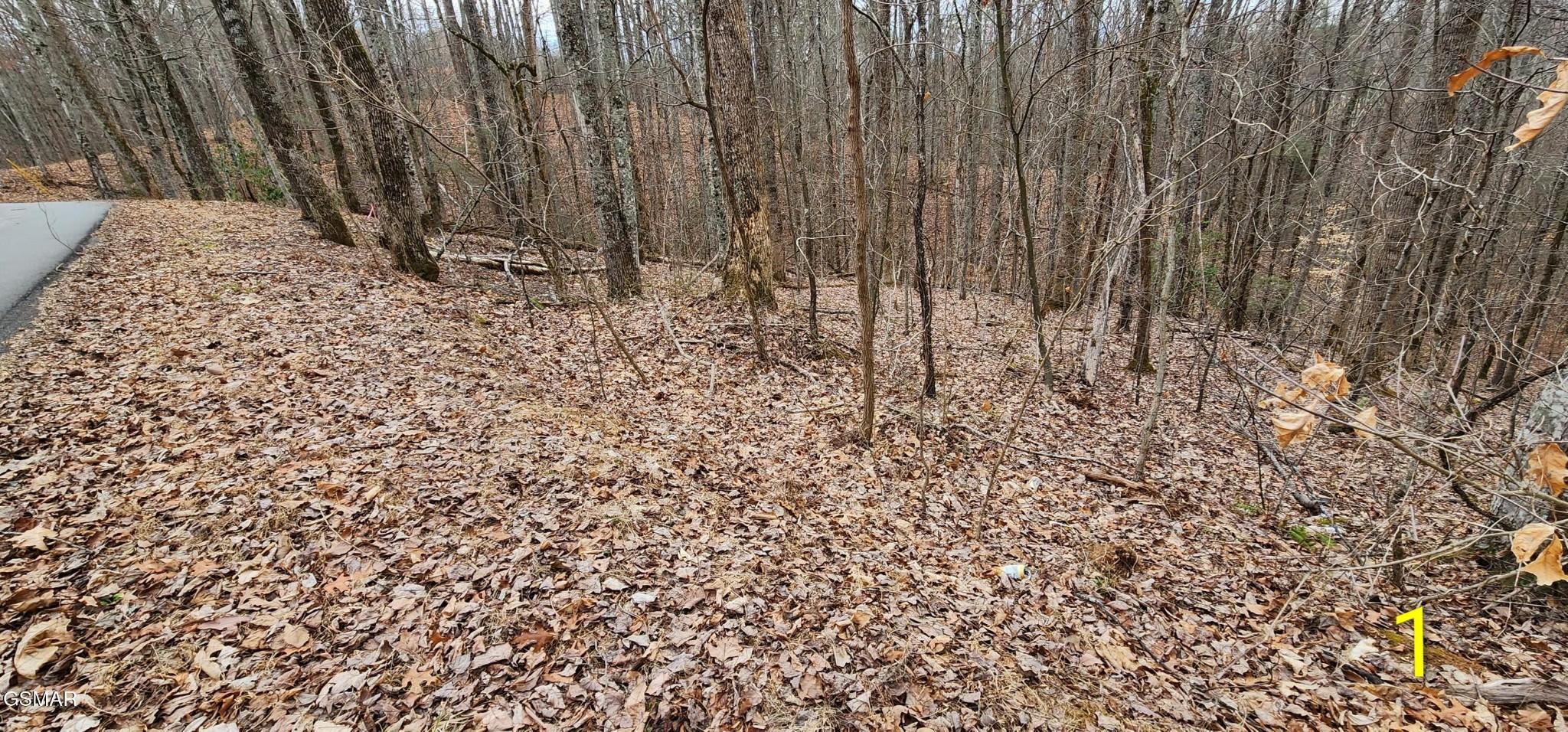 Image 1 Image 1
