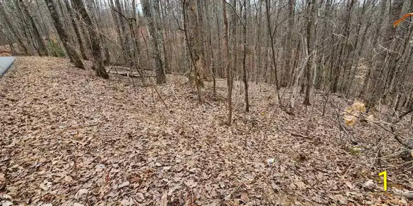 2225 King Hollow Road
