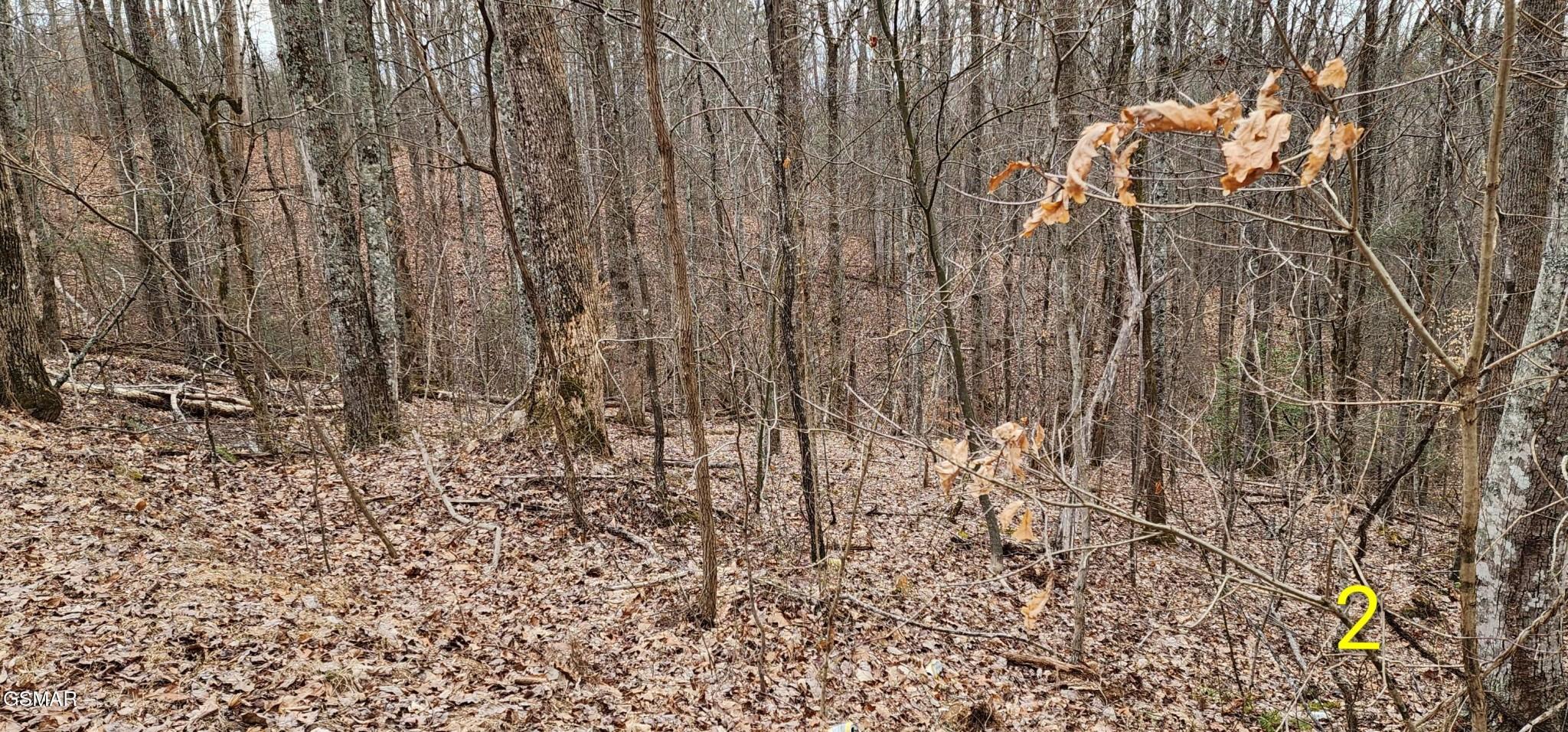 Image 4 Image 4
