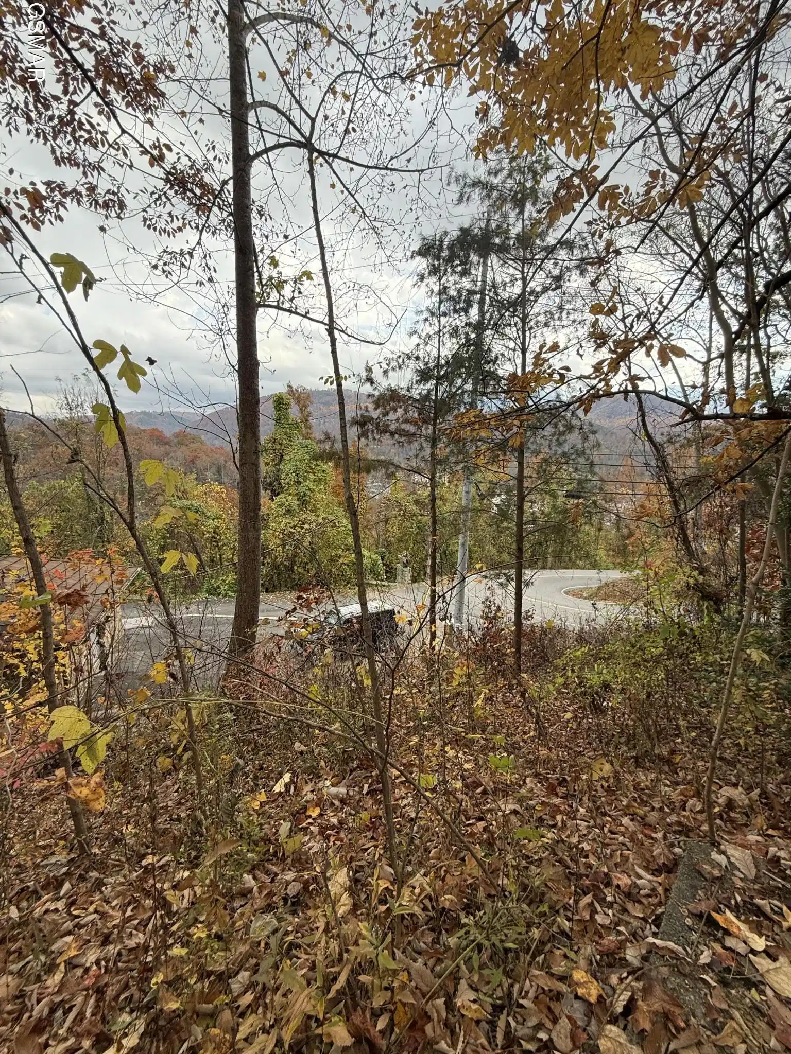 Image 1 Image 1