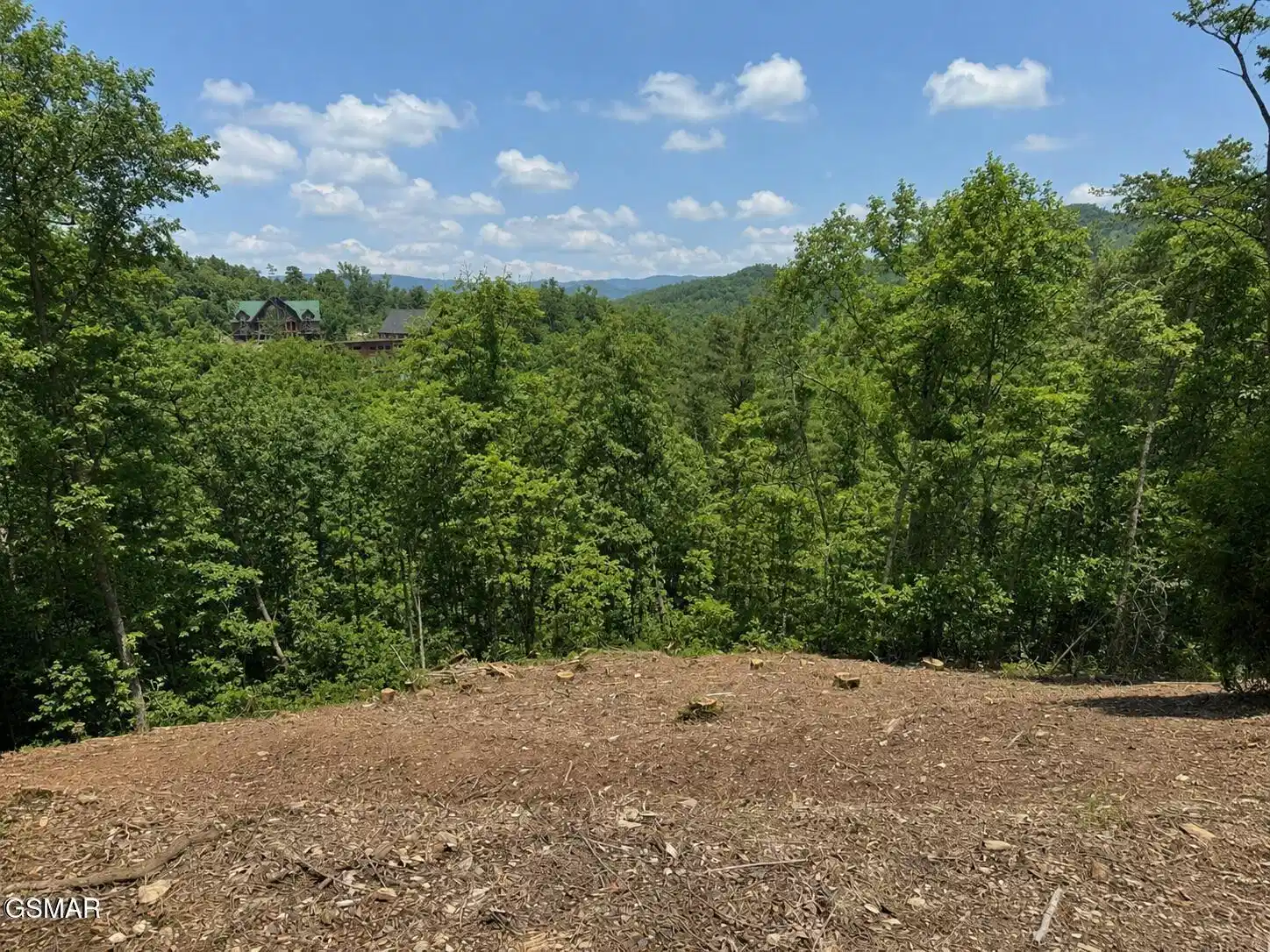 Image 1 Image 1
