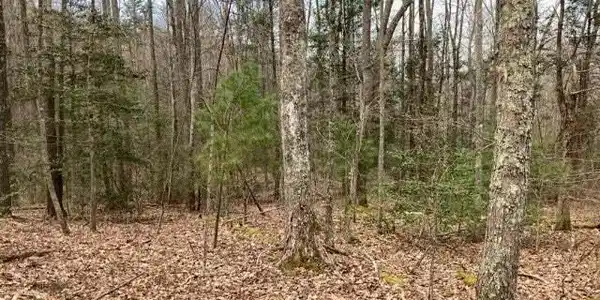 0 Dockery Branch Road