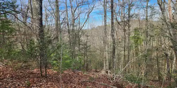 Image 4 Image 4