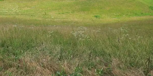 Image 2 Image 2