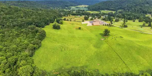 Image 4 Image 4