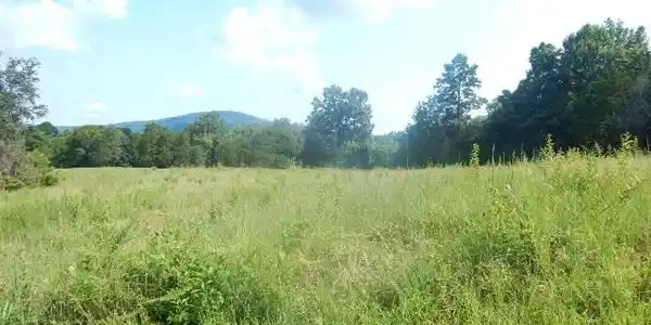 Image 4 Image 4