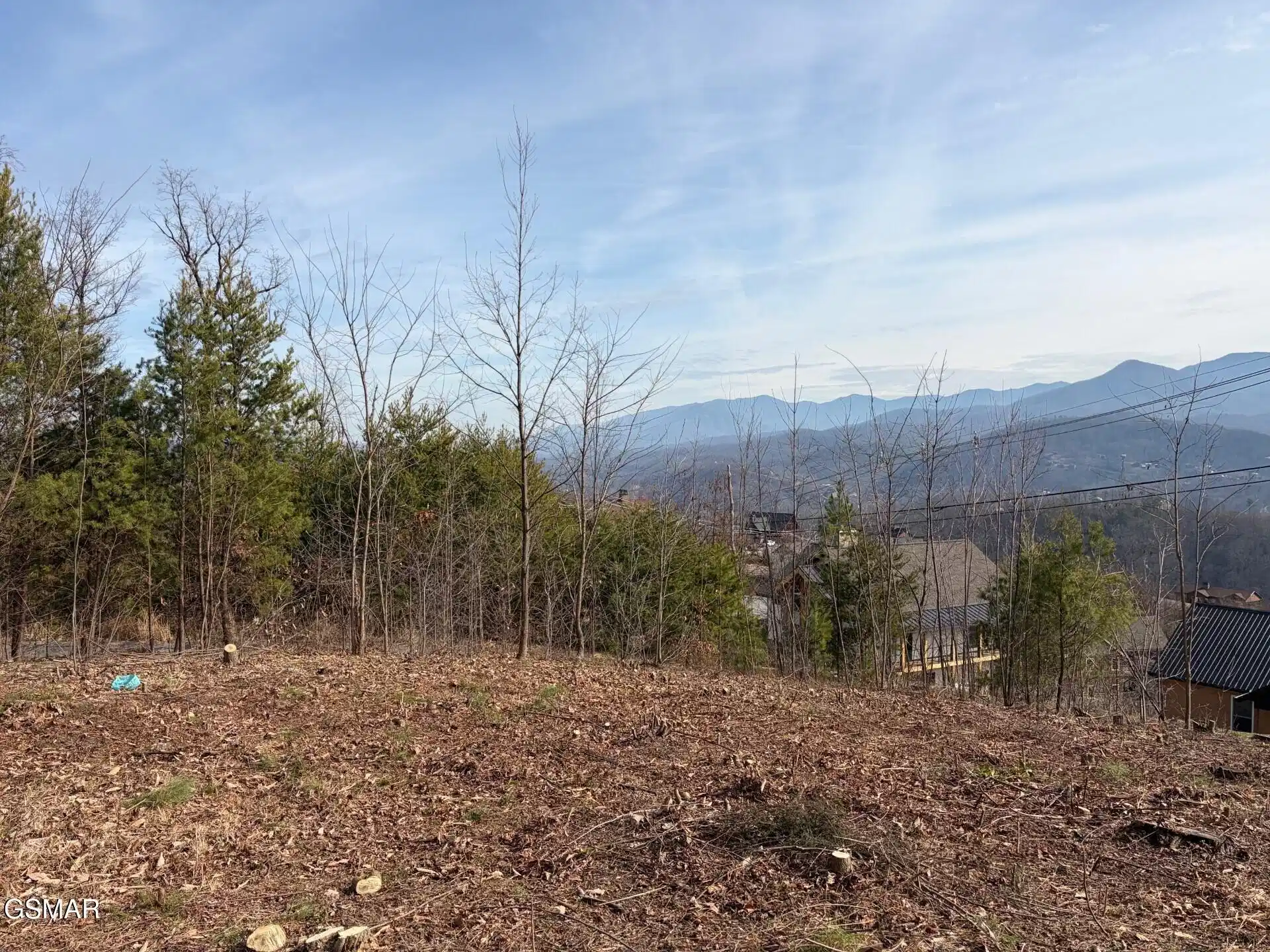 Image 1 Image 1