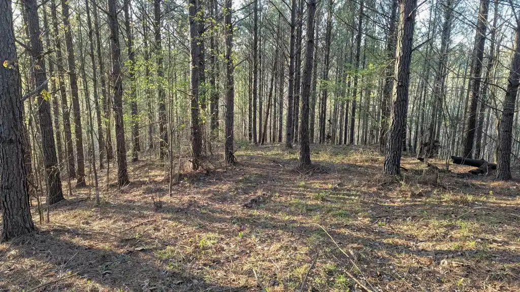 Image 1 Image 1