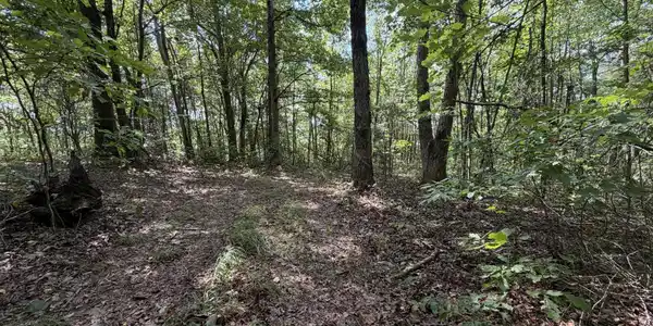 Image 2 Image 2