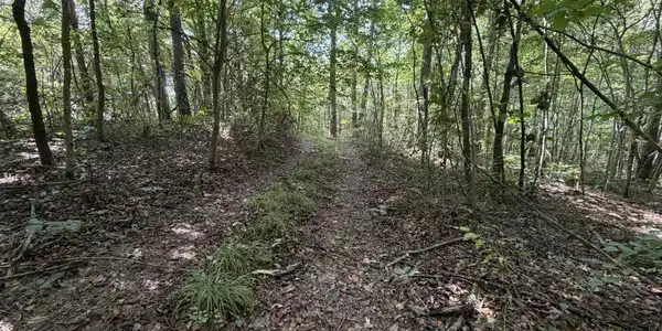 Image 4 Image 4