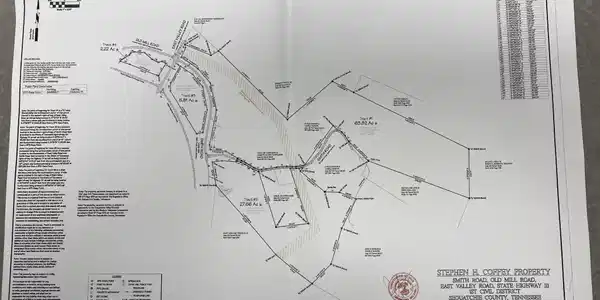 Image 4 Image 4