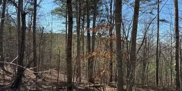 1 South Pittsburg Mountain
