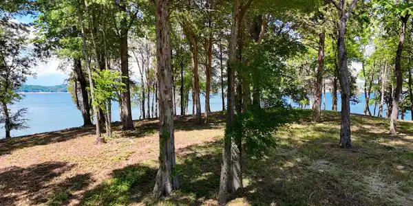 Image 3 Image 3