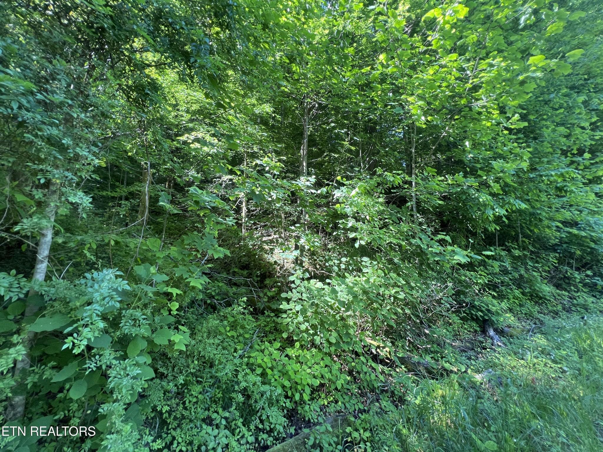 Image 2 Image 2