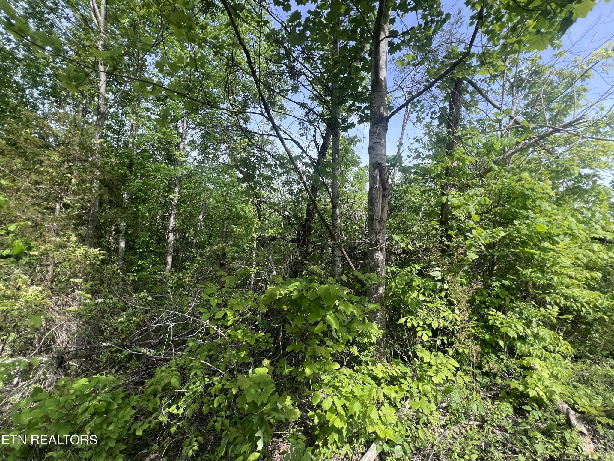 Image 2 Image 2