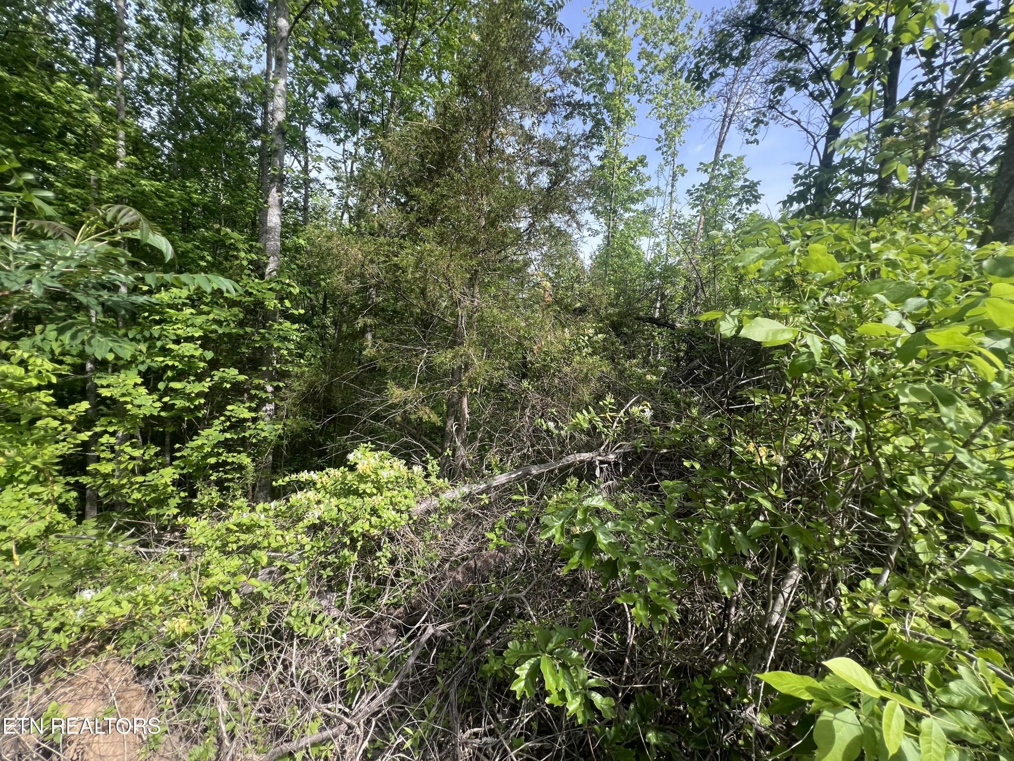 Image 3 Image 3