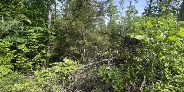 Image 3 Image 3