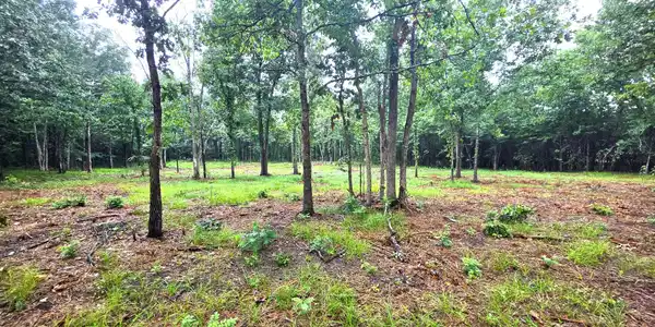 Image 3 Image 3