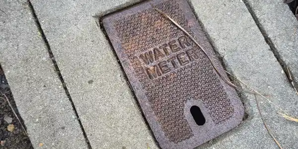Image 4 Image 4