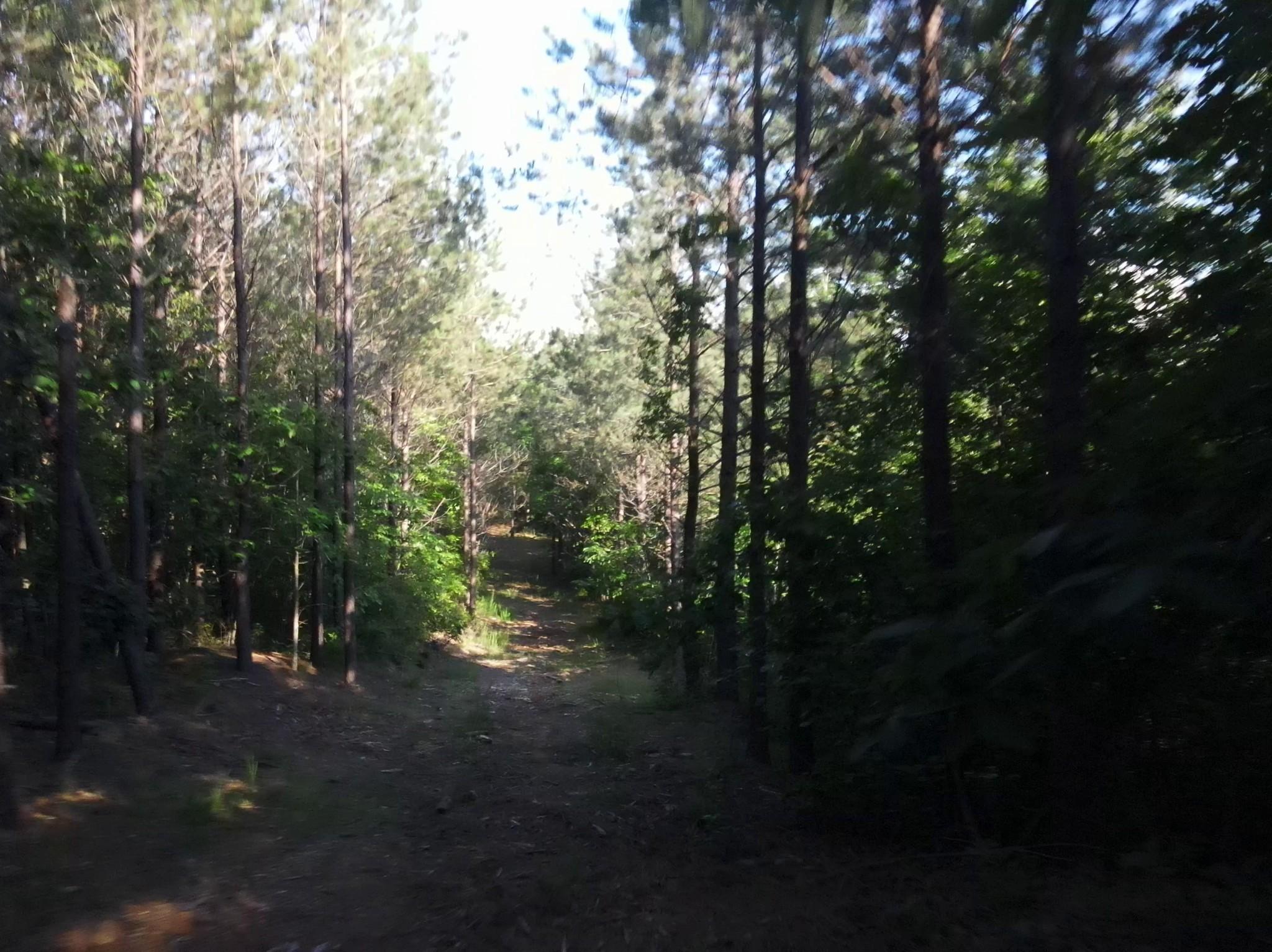 Image 4 Image 4