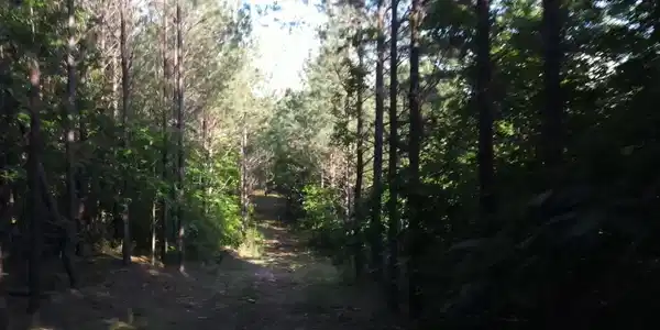 Image 4 Image 4