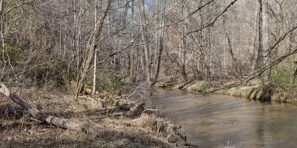 Image 4 Image 4
