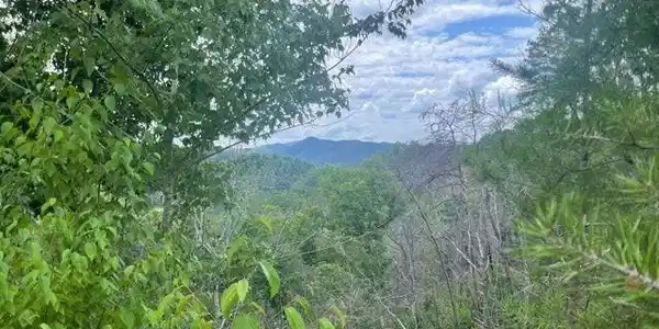 0 Lot 4 River Birch Way