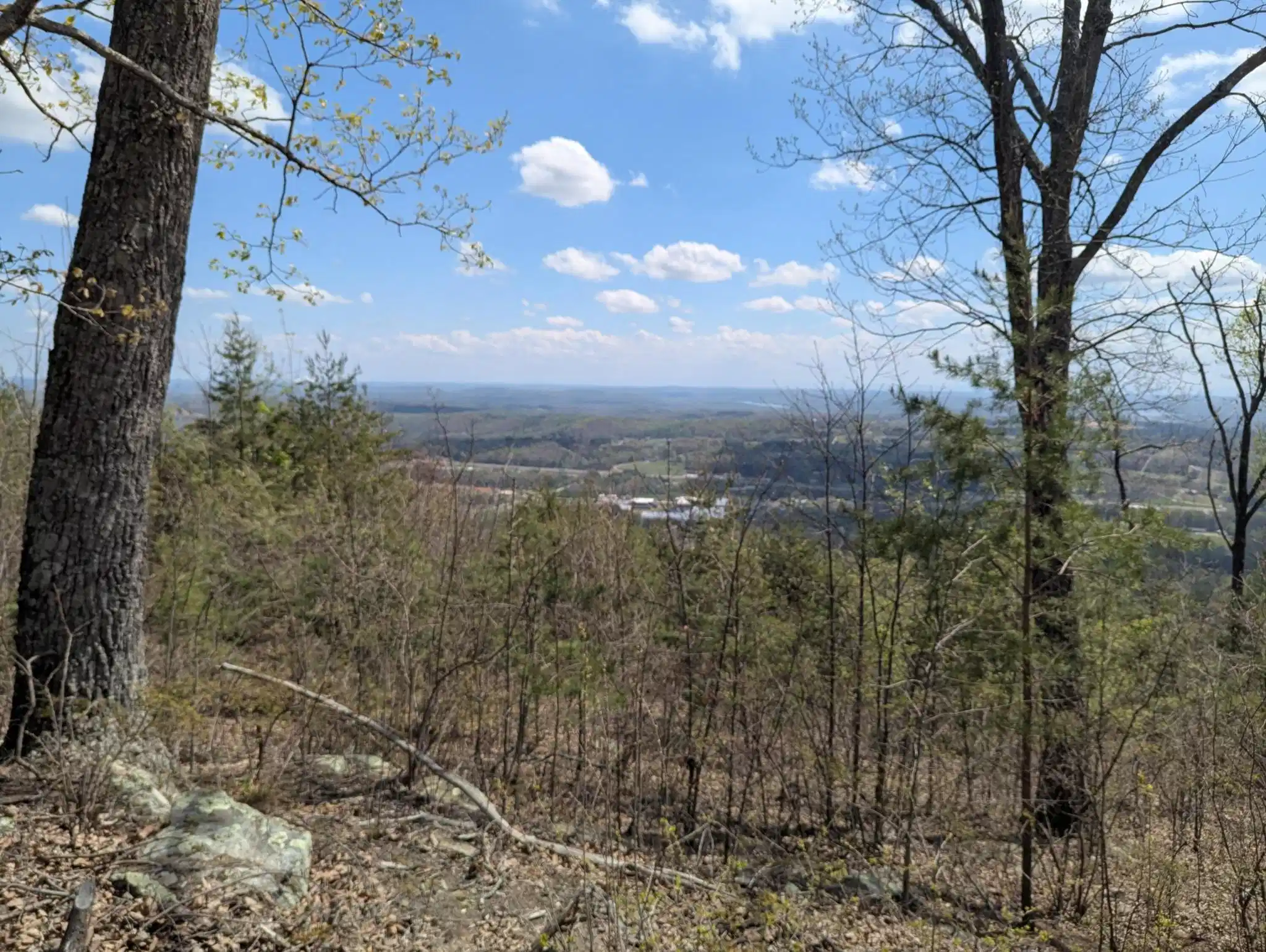 Image 1 Image 1