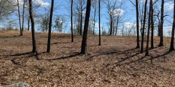 Image 4 Image 4