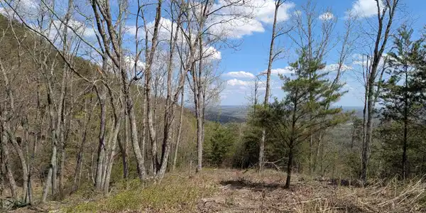 10 Escape Drive