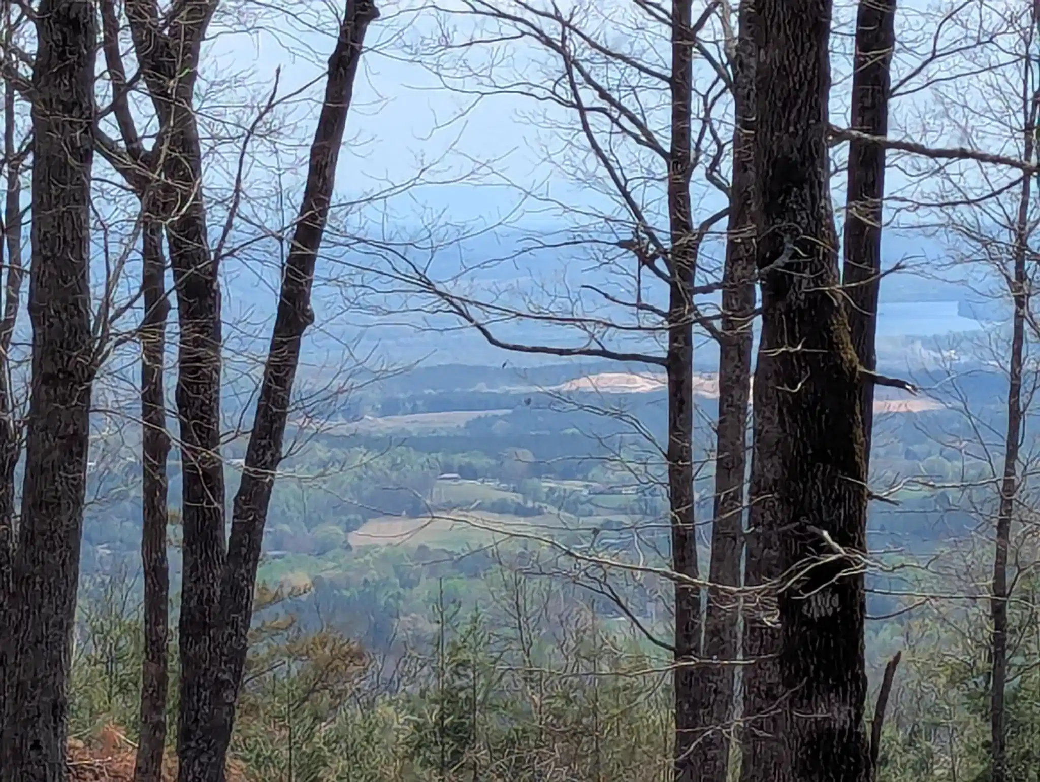 Image 1 Image 1