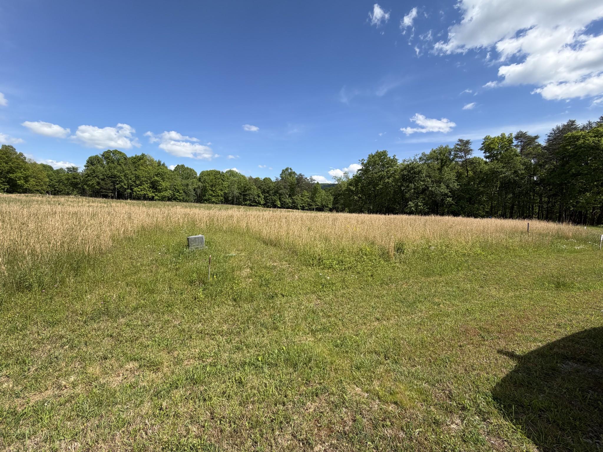 Image 4 Image 4