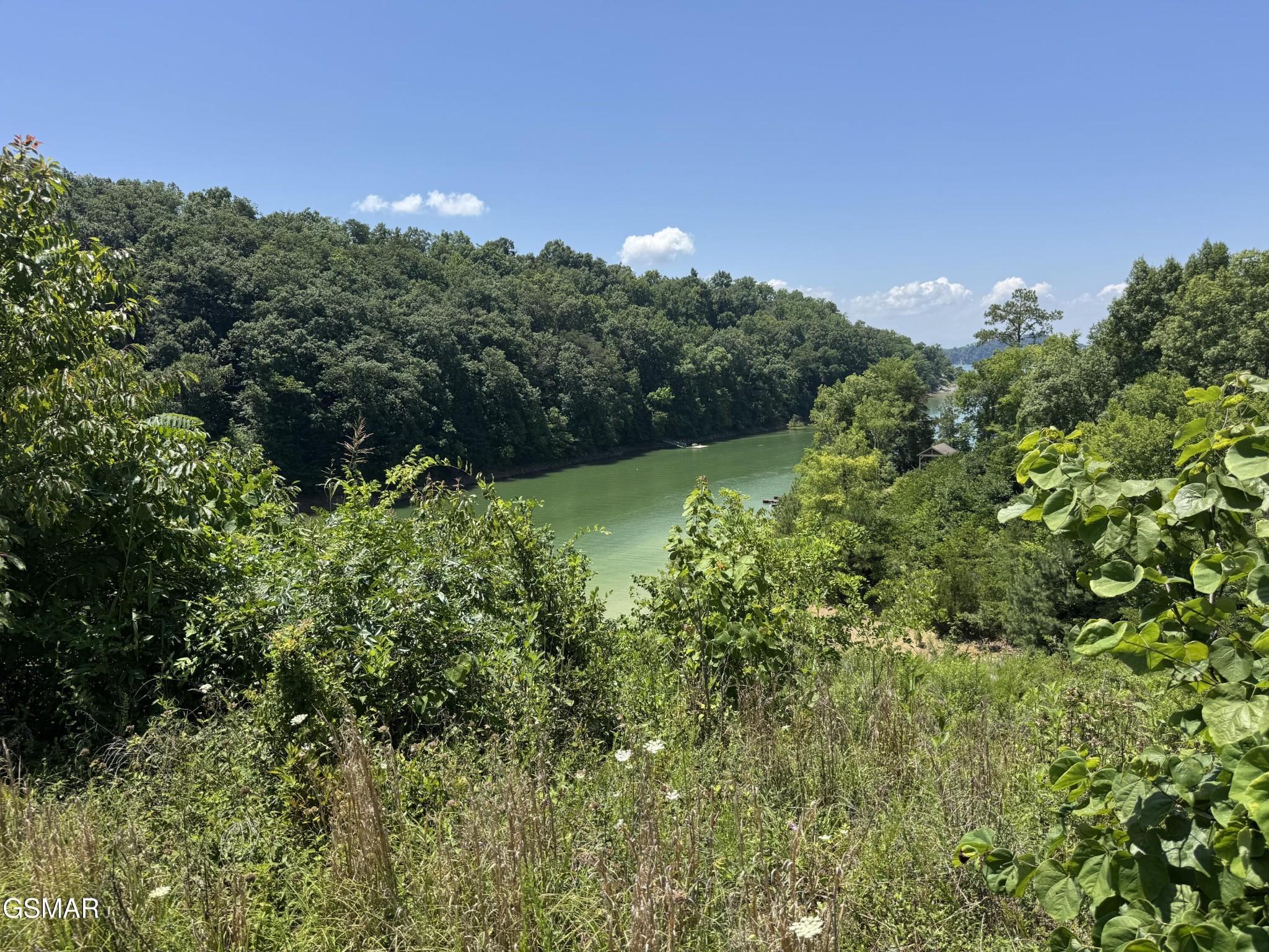 Image 4 Image 4