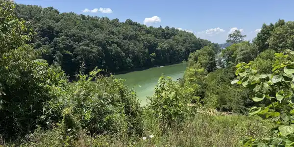 Image 4 Image 4