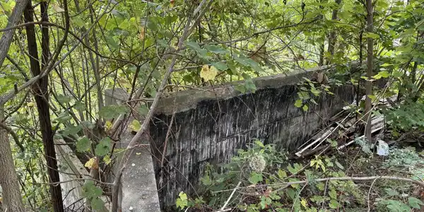 Image 4 Image 4