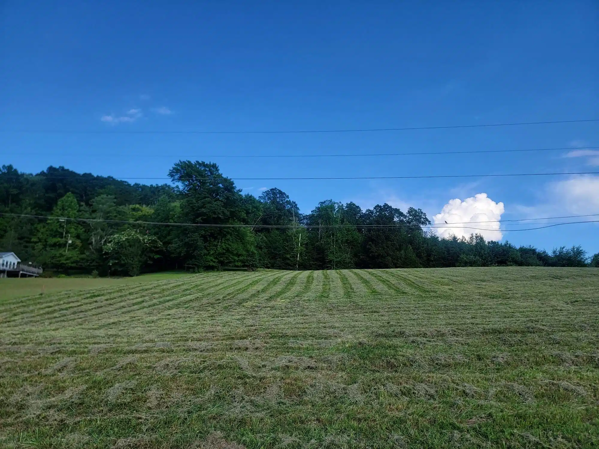 Image 1 Image 1