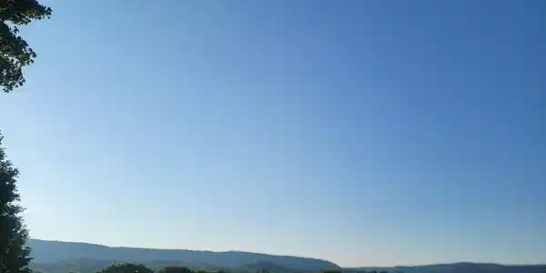 Image 4 Image 4