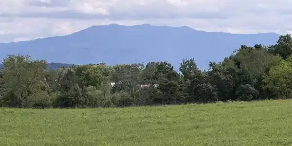 Image 3 Image 3